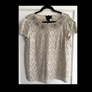 Lace short-sleeve top w/ Peter Pan collar detail